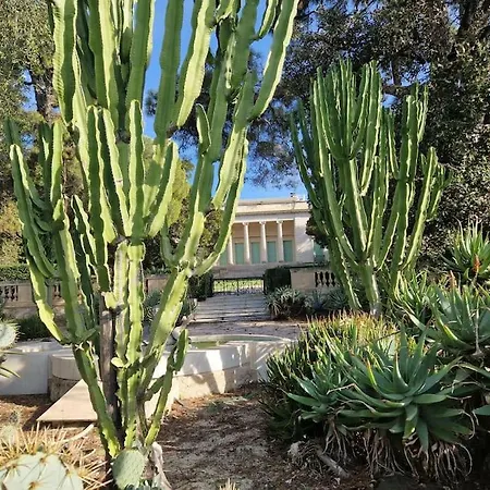 Cozy 1 Bedroom With A Seaview, Ac, Pool And Parking 公寓 昂蒂布