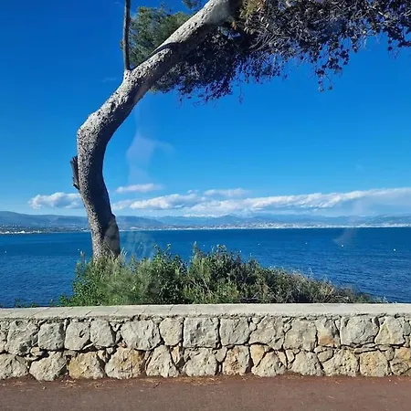 Cozy 1 Bedroom With A Seaview, Ac, Pool And Parking * 昂蒂布