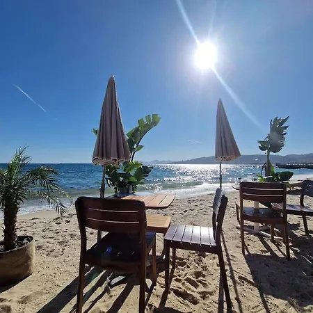 Cozy 1 Bedroom With A Seaview, Ac, Pool And Parking 昂蒂布