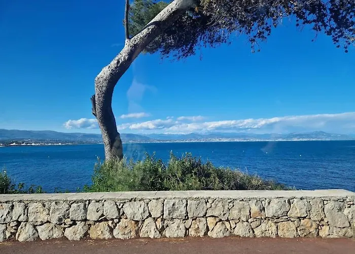 Cozy 1 Bedroom With A Seaview, Ac, Pool And Parking * Antibes
